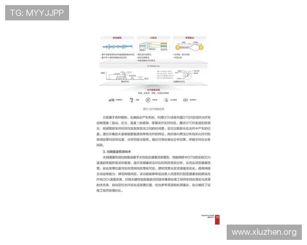 2026年5g智能电网白皮书PDF全文内容及其在智慧能源中的应用价值